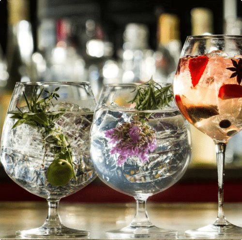 The Gin Train Experience